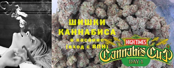 хмурый Инта