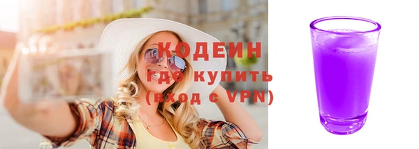 хмурый Инта