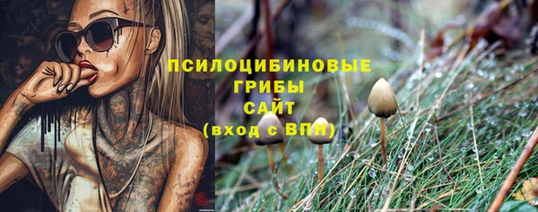 хмурый Инта