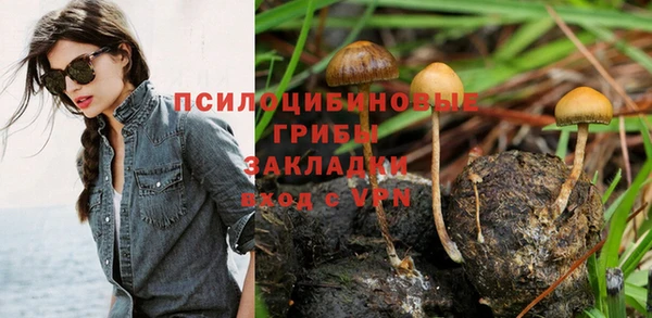 хмурый Инта