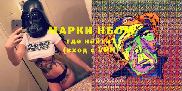 амф Инсар