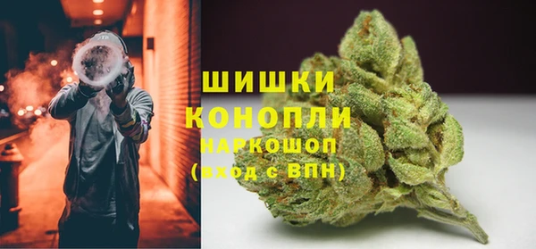 амф Инсар