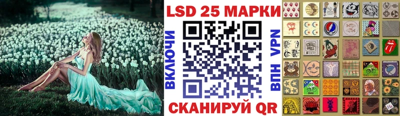 Марки 25I-NBOMe 1,5мг  дарк нет как зайти  Жиздра 
