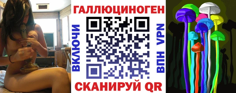 Псилоцибиновые грибы GOLDEN TEACHER  гидра как войти  Жиздра  где можно купить наркотик 